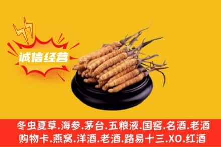 嘉兴桐乡市回收冬虫夏草